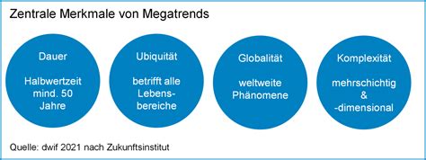 mega trend definition|megatrend bedeutung.
